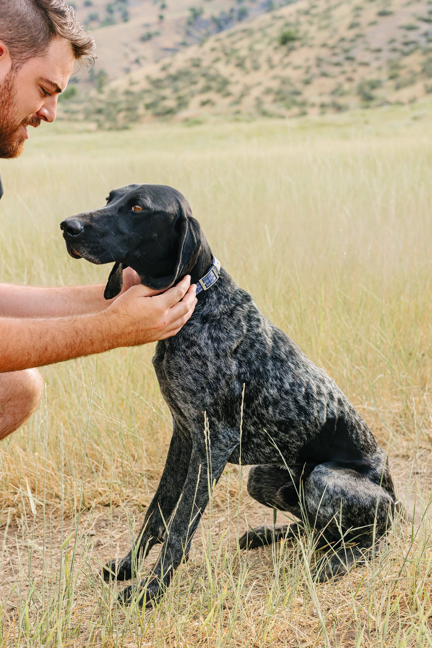 Pawtronic Pro Series Wireless GPS Dog Fence - Ultimate Safety for Your Furry Friend!