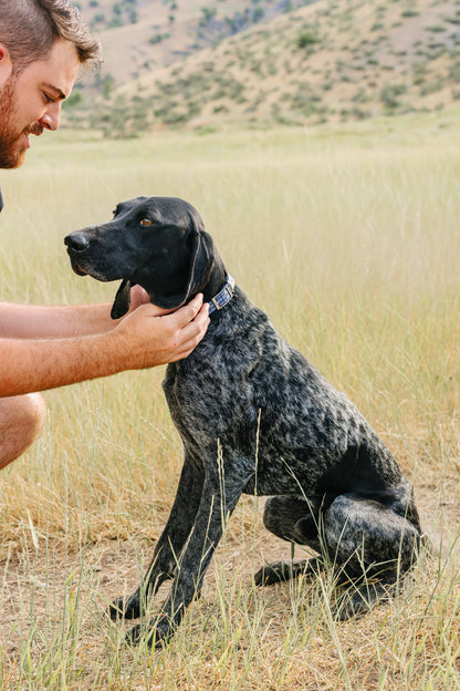 Pawtronic Pro Series Wireless GPS Dog Fence - Ultimate Safety for Your Furry Friend!