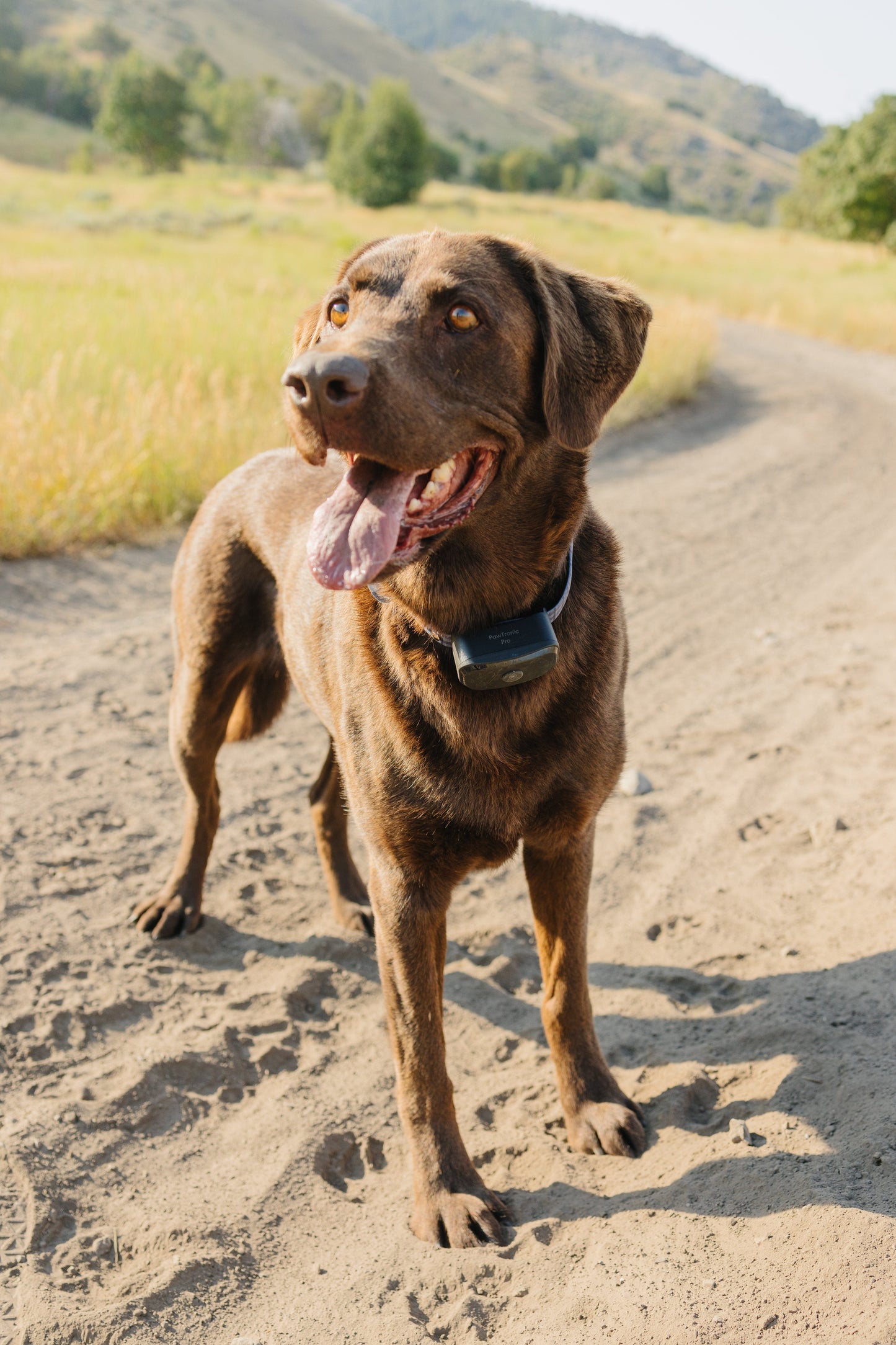 Pawtronic Pro Series Wireless GPS Dog Fence - Ultimate Safety for Your Furry Friend!