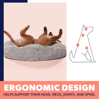Small Beige Dog Bed for up to 25Lbs, Calming Orthopedic Pet Bedding for Anxiety Relief, Joint Support & Comfort, Washable Dog Furniture