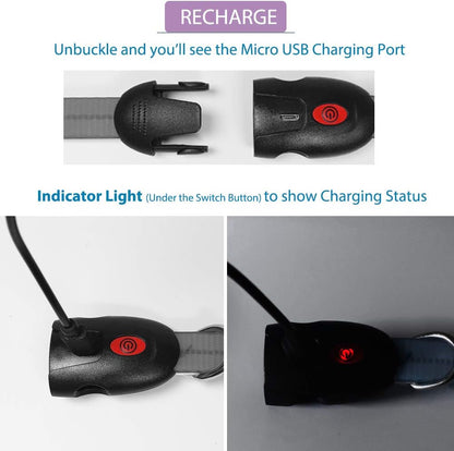 Led Dog Collar Light, USB Rechargeable Lighted up Collars Glowing in Dark Make Pets Safe from Danger at Night